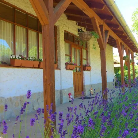 Tuenderfatyol Vendeghaz Feriehus Tiszafüred